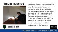 Brisbane Termite Protection image 2